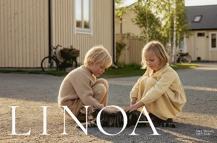 compressed_Rectangle 451